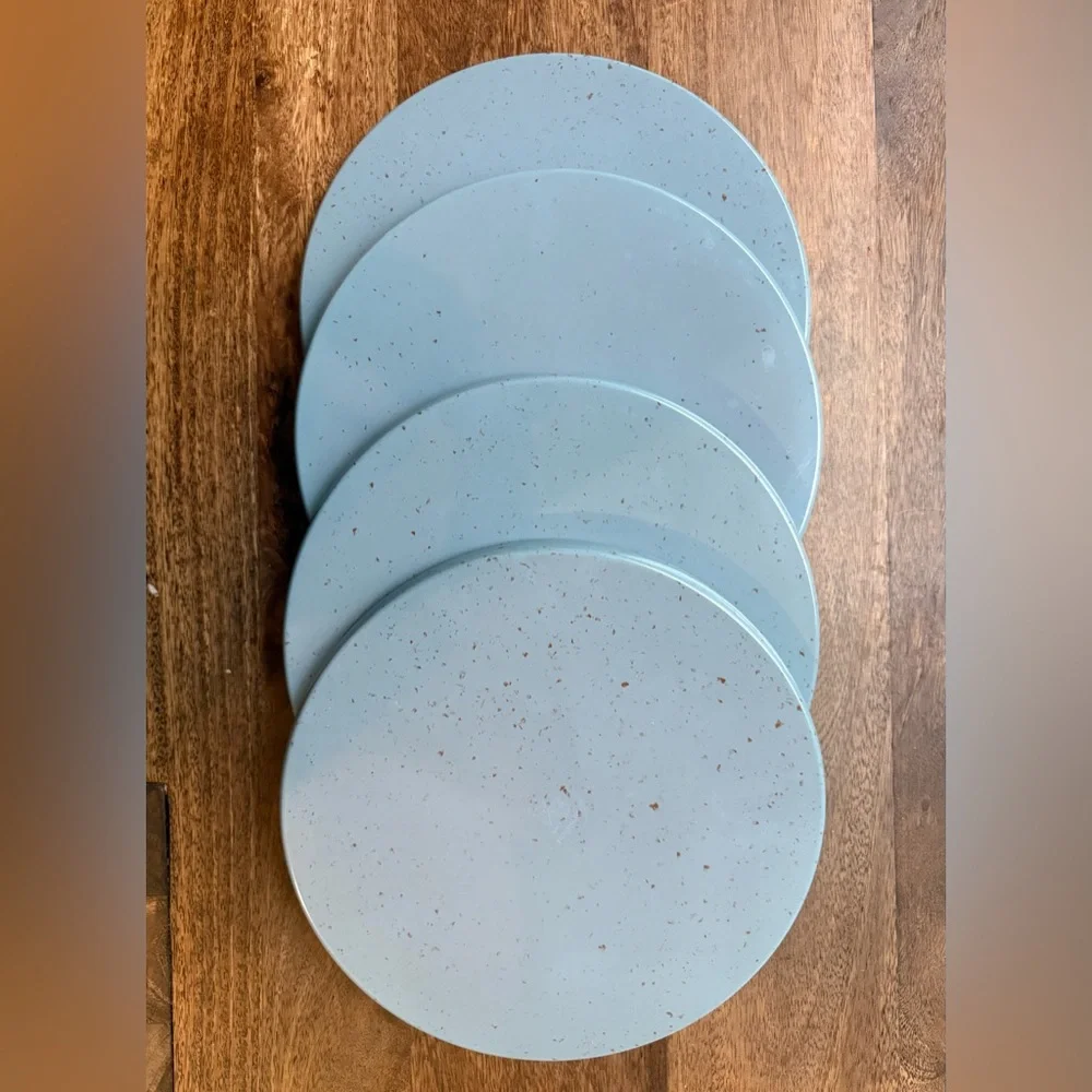 Crate&Barrel Cruz Melamine Dinner Plate - Set of 4